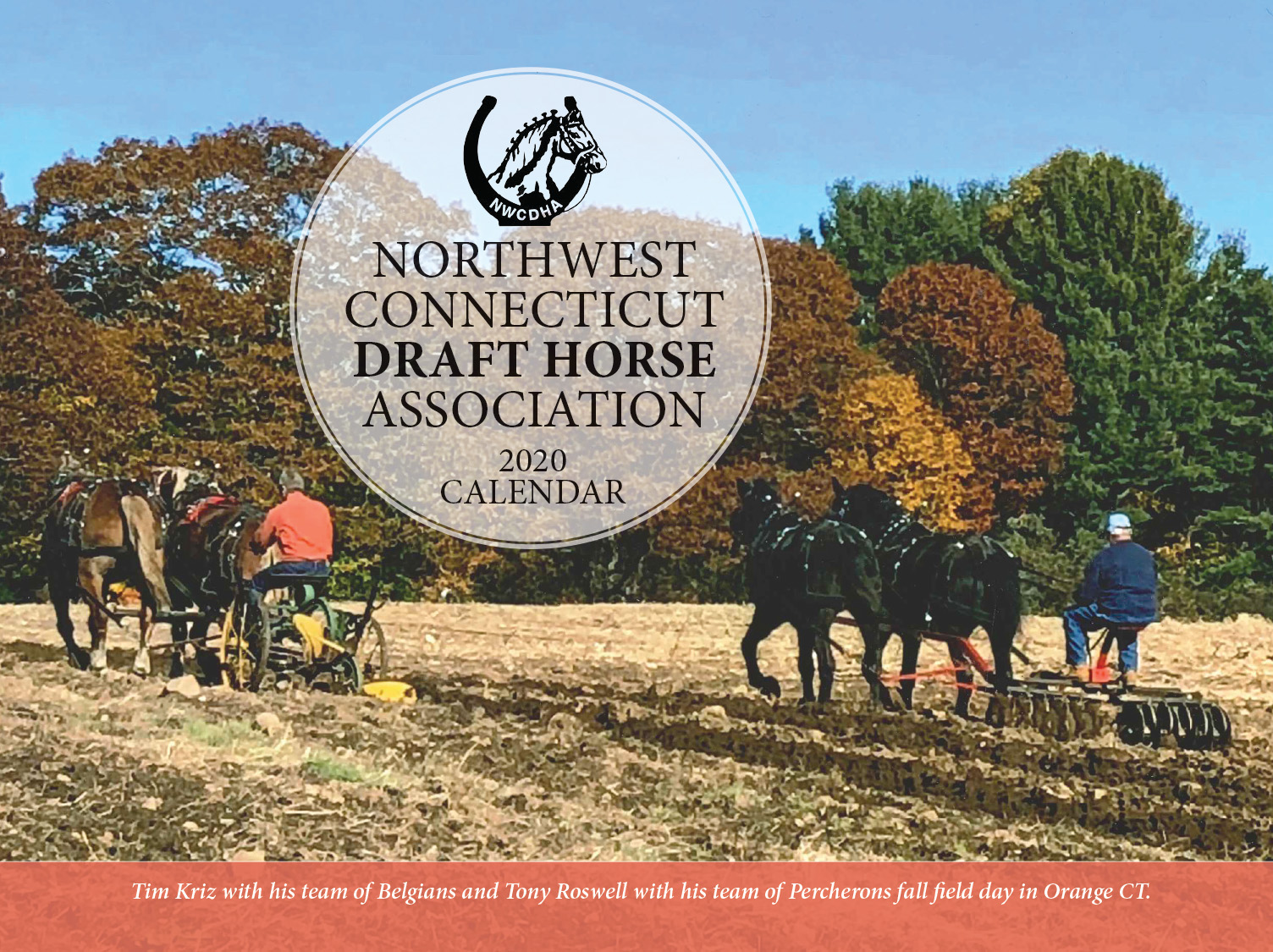 photo of Northwest Connecticut Draft Horse horse calendar